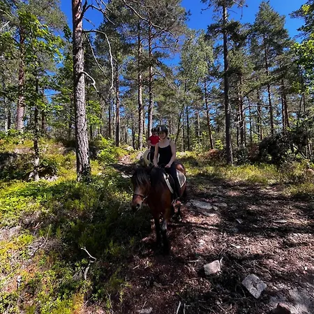 Nyaraló Ved Innsjo *